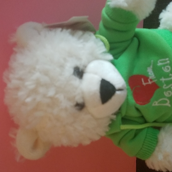 Plush Bear wearing green Boston sweatshirt - Picture 2 of 5